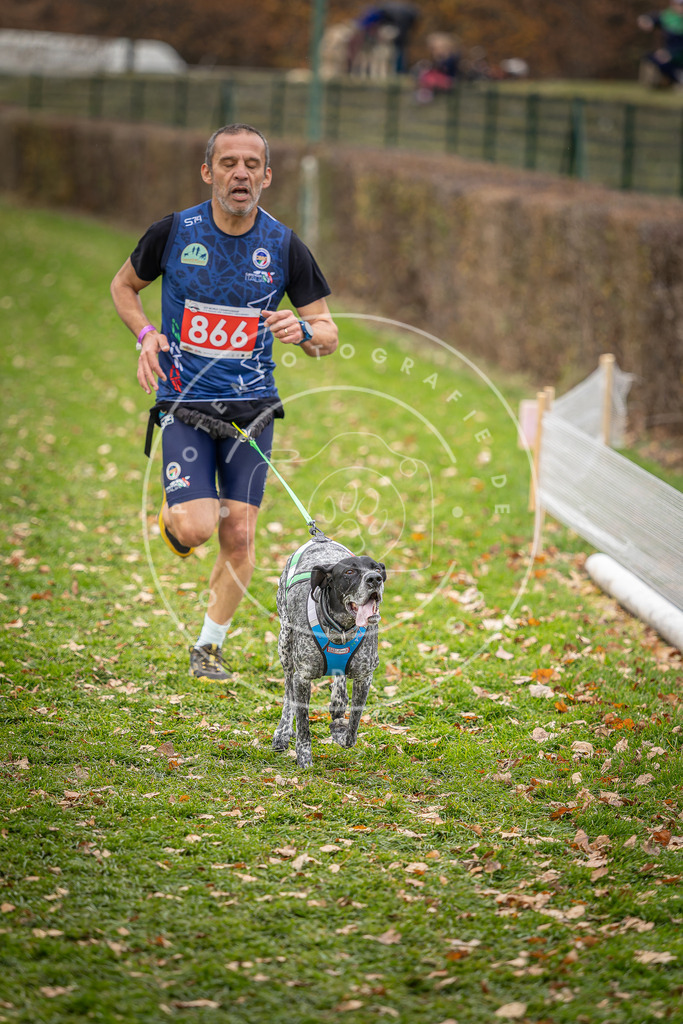 CaniXpix_DV3A6731 | Hundefotografie, Tierfotograf, Pfotenfotografie, Fotoshooting Hund, Hunde Portrait, Hundesport, Hundeportraits, Heideshooting, Hunde, Sportfotograf, Hundefotograf, Turnierhundsport, THS,  - Realisiert mit Pictrs.com