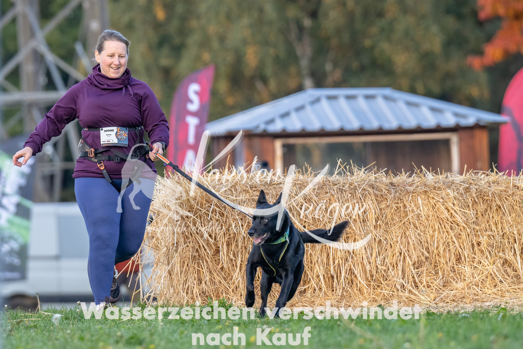 0849_ZZ91516-Bearbeitet | kk-dogfotos
