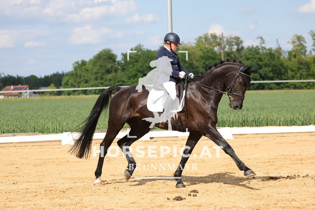0P6A9091 | Willkommen bei Brunnmayr - Design & Fotografie – Ihrem Spezialisten für Reitturniere und Pferdeveranstaltungen in Oberösterreich, Salzburg und Bayern! Seit über 17 Jahren sind wir leidenschaftlich dabei.