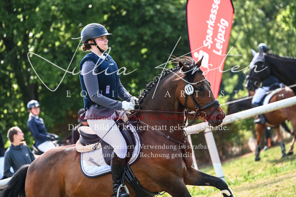 DSC_8005 | Pferde- und Turnierfotografie in Westsachsen. Pferdeportraits, Auftragszeichnungen und intuitive Kunst.