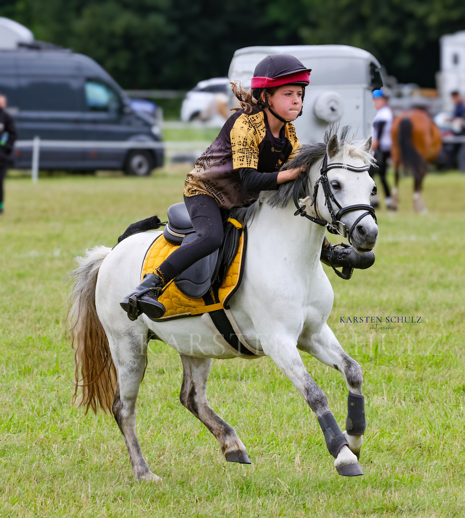 1B3A1540 | Reitsport Reiten
