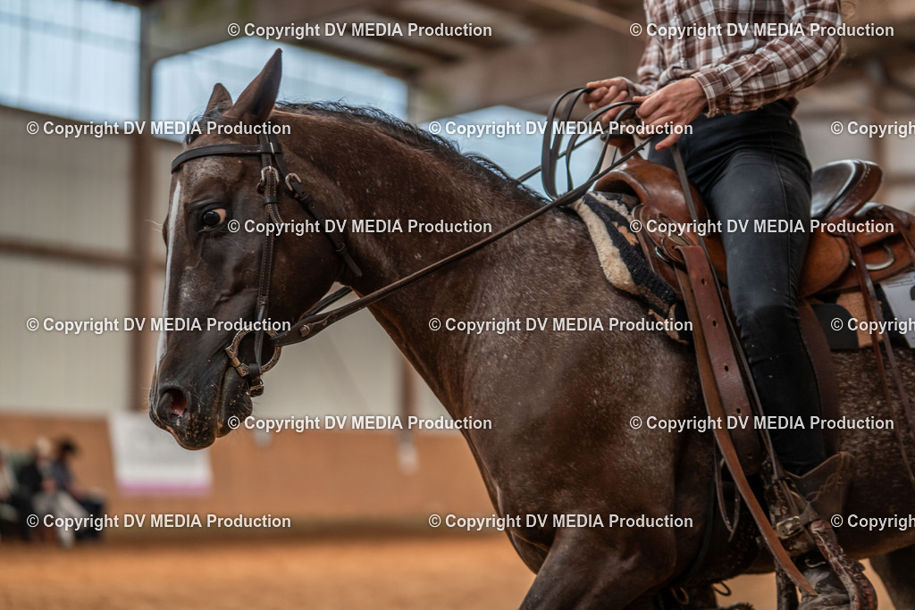 Neckargemünd Tag 3-600 | dv-media-shop - Realisiert mit Pictrs.com