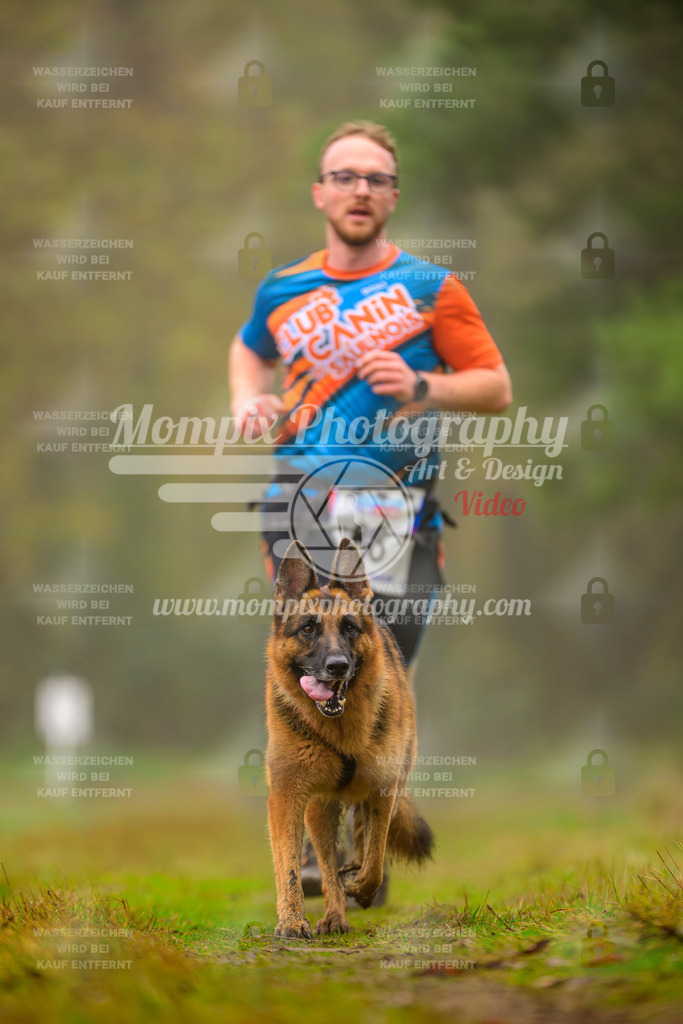 MompixPhotography_Bischwiller2025_Canicross-100 | mompixphotography