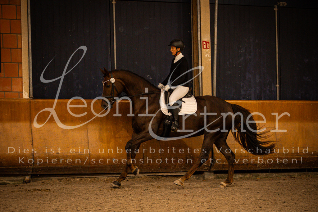 2Reiten00153 | Leoni Ertmer Photography - Realisiert mit Pictrs.com