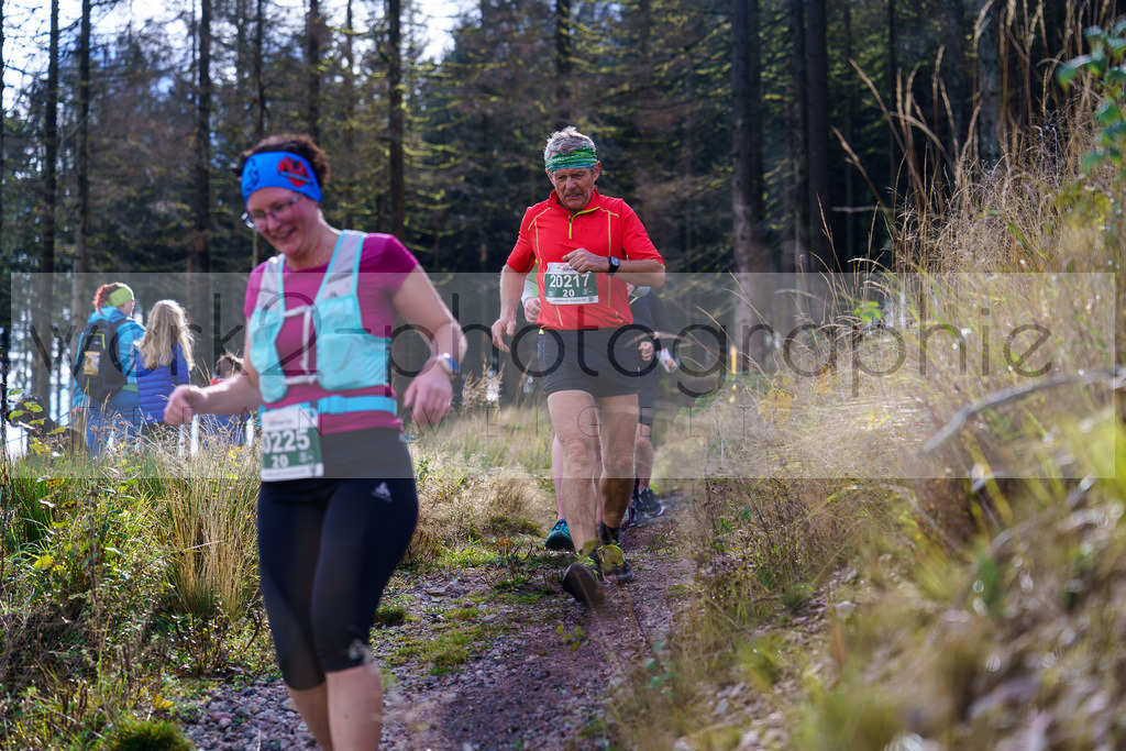 Herbstlauf 2024 | Rennsteig-Herbstlauf von Neuhaus am Rennweg nach Masserberg am 6. Oktober 2024