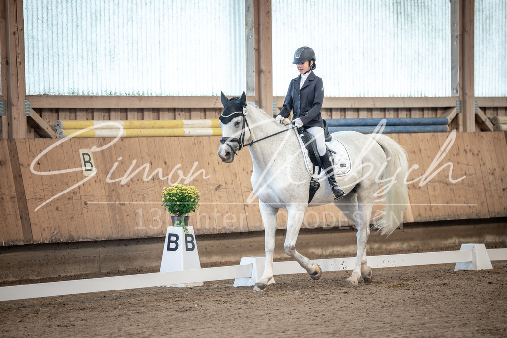 20251011-_3LI7537 | Tierfotografie Pferde, Hunde, Katzen, Haustiere.
Turnierfotografie Reitturniere, Reiten, Springreiten, Dressur in Hanau, dem Main-Kinzig-Kreis und dem Rhein-Main- Gebiet um Frankfurt