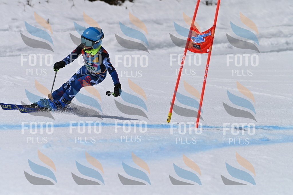 BGV_6465 | holidayphoto