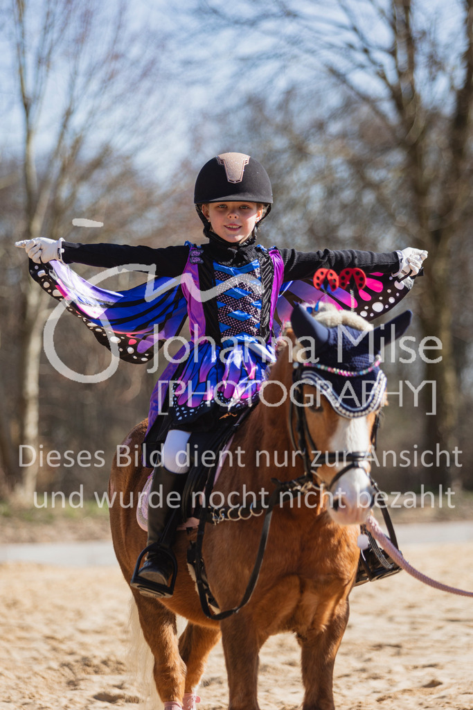 250316_HF-Schwm_Fuehrzuegel-103 | Deine schönsten Turniermomente als professionelle Fotos! Entdecke hochwertige Pferdesport-Fotografie im Online-Shop. Jetzt Fotos finden & bestellen!