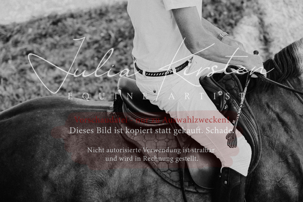 DSC_2279 | Pferde- und Turnierfotografie in Westsachsen. Pferdeportraits, Auftragszeichnungen und intuitive Kunst.