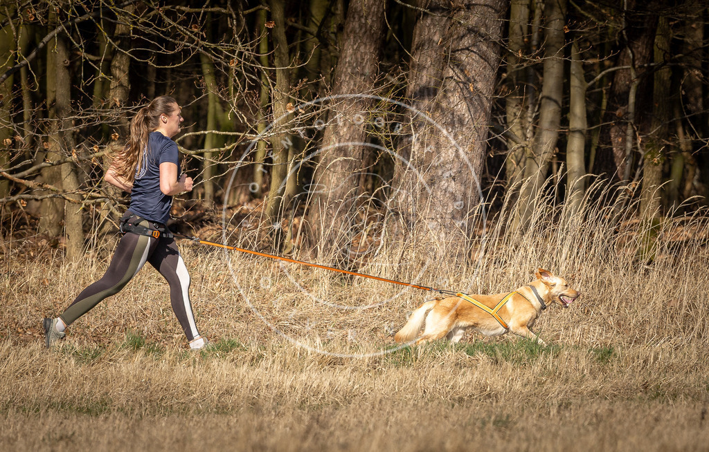 DV3A5984 | Hundefotografie, Tierfotograf, Pfotenfotografie, Fotoshooting Hund, Hunde Portrait, Hundesport, Hundeportraits, Heideshooting, Hunde, Sportfotograf, Hundefotograf, Turnierhundsport, THS,  - Realisiert mit Pictrs.com