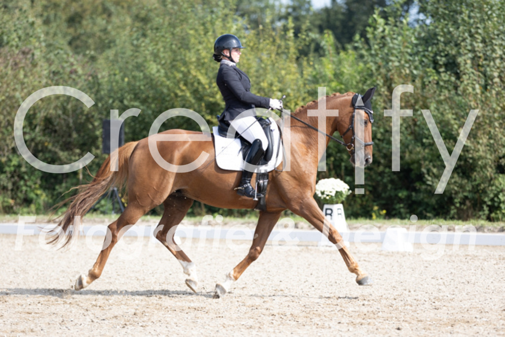 IMG_3273 | Creatify Fotografie