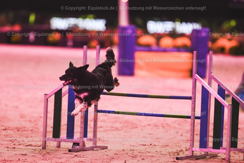 20241113_Showabend_TOMsPiC_0541 | Foto: Thomas Hartig