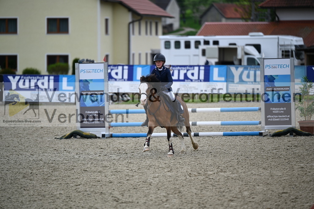 DSC_0351 | equestrian-live-com
