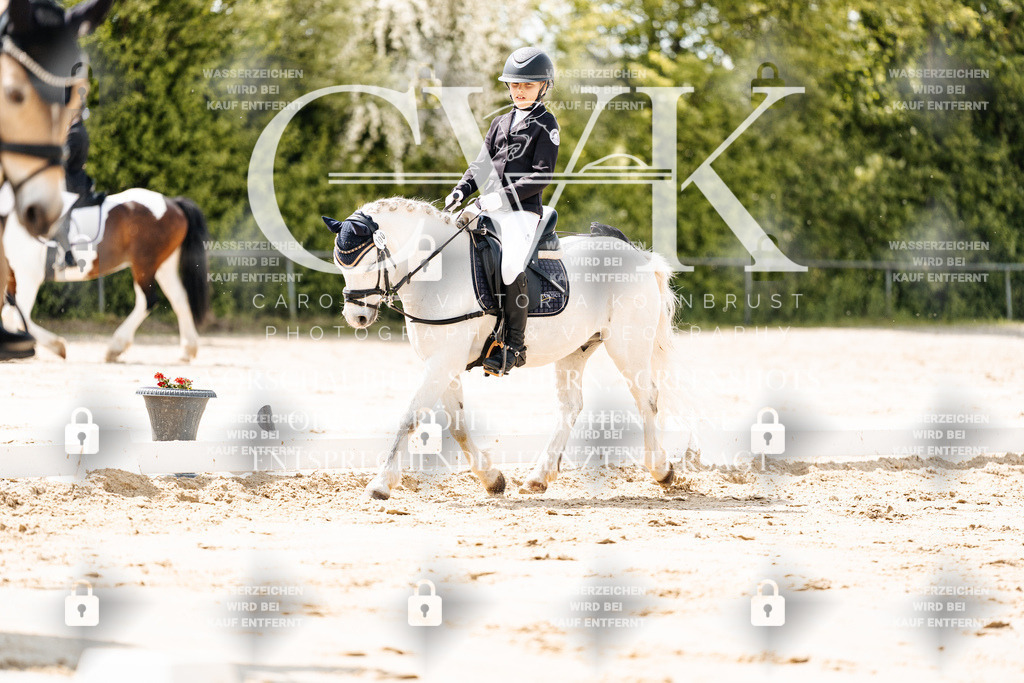 CK901821 | Turnierfotografie Pferdefotografie Trier Rheinland-Pfalz Pferdesport Reitsport Tierfotografie Sportfotografie Pferdevideo Pferdevideografie Equestrianvideography equestrianphotography  - Realisiert mit Pictrs.com