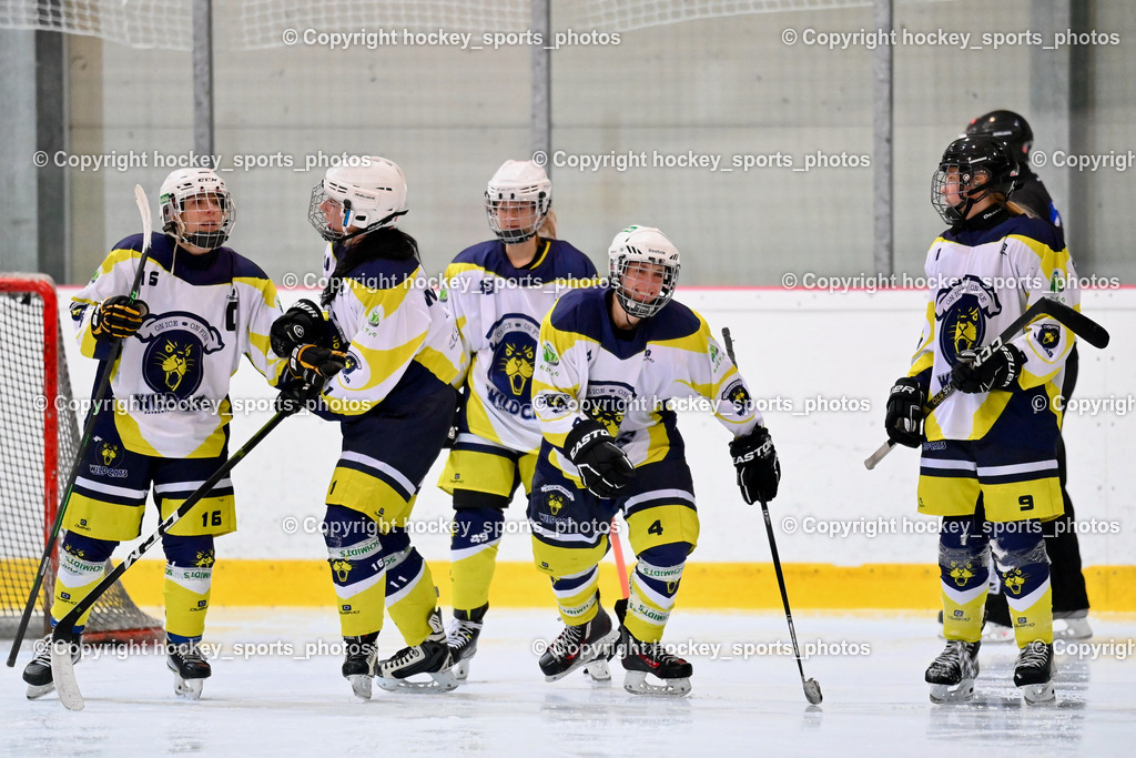 BST_6674 | hockey sports photos, Pressefotos, Sportfotos, hockey247, win 2day icehockeyleague, Handball Austria, Floorball Austria, ÖVV, Kärntner Eishockeyverband, KEHV, KFV, Kärntner Fussballverband, Österreichischer Volleyballverband, Alps Hockey League, ÖFB, 