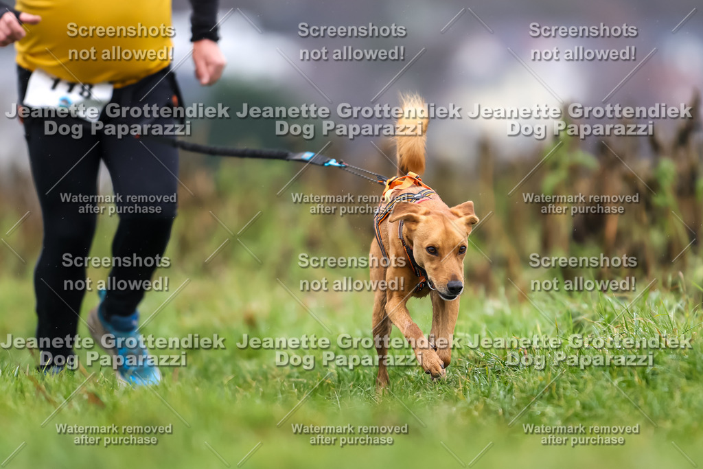 Dog Paparazzi - Herkules Race  2025-74 | Dog Paparazzi Jeanette Grottendiek Fotografie & Videografie