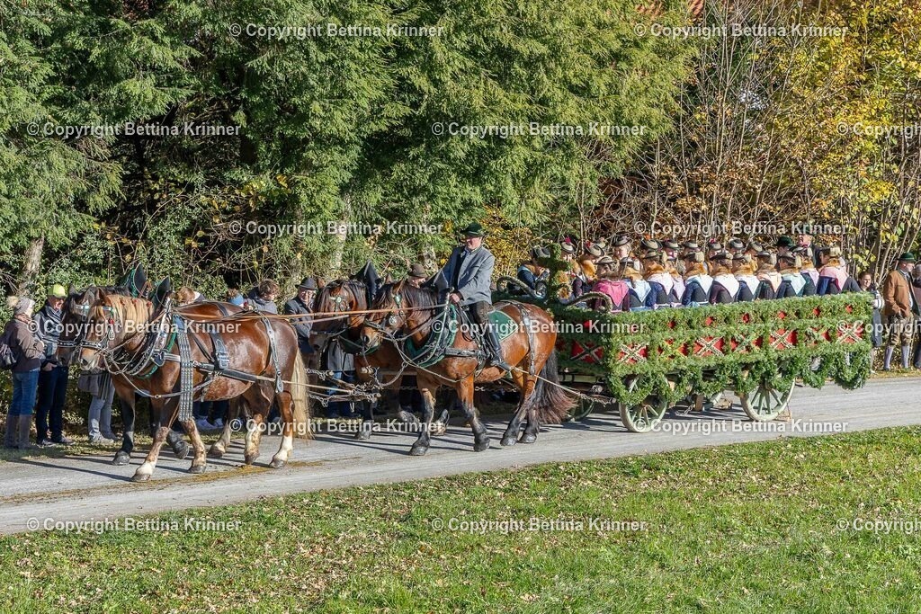 LBT25-580 | foto-bettina-krinner - Realisiert mit Pictrs.com