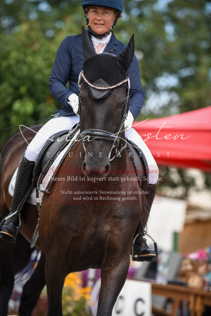 DSC_9159 | Pferde- und Turnierfotografie in Westsachsen. Pferdeportraits, Auftragszeichnungen und intuitive Kunst.
