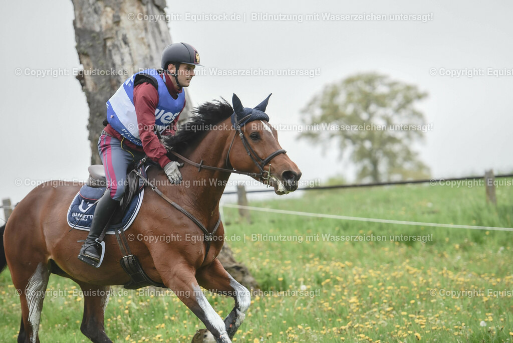 20230513_CCI4_Gelände_0334 | equistock