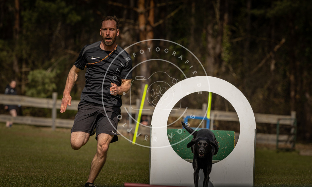 Pfotenfotografie_DV3A5273 | Hundefotografie, Tierfotograf, Pfotenfotografie, Fotoshooting Hund, Hunde Portrait, Hundesport, Hundeportraits, Heideshooting, Hunde, Sportfotograf, Hundefotograf, Turnierhundsport, THS,  - Realisiert mit Pictrs.com