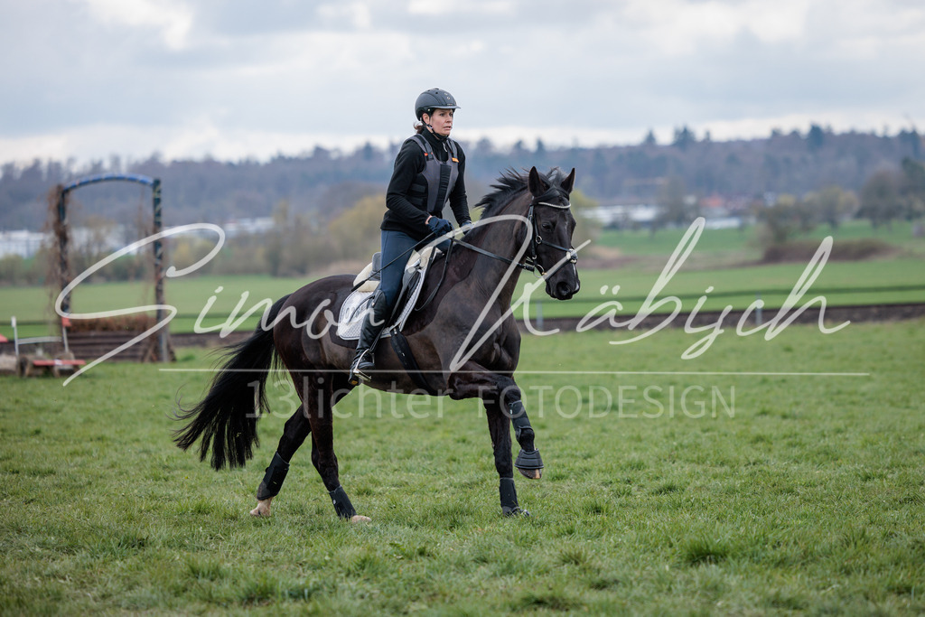 20260329-_3LI4933 | Tierfotografie Pferde, Hunde, Katzen, Haustiere.
Turnierfotografie Reitturniere, Reiten, Springreiten, Dressur in Hanau, dem Main-Kinzig-Kreis und dem Rhein-Main- Gebiet um Frankfurt