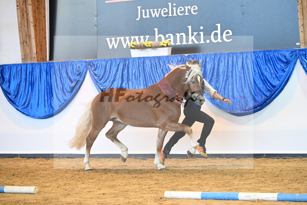 Kat-Nr. 28 Napoleon v. Nakuri_Lechner_60221648 | hf-fotografie - Realisiert mit Pictrs.com