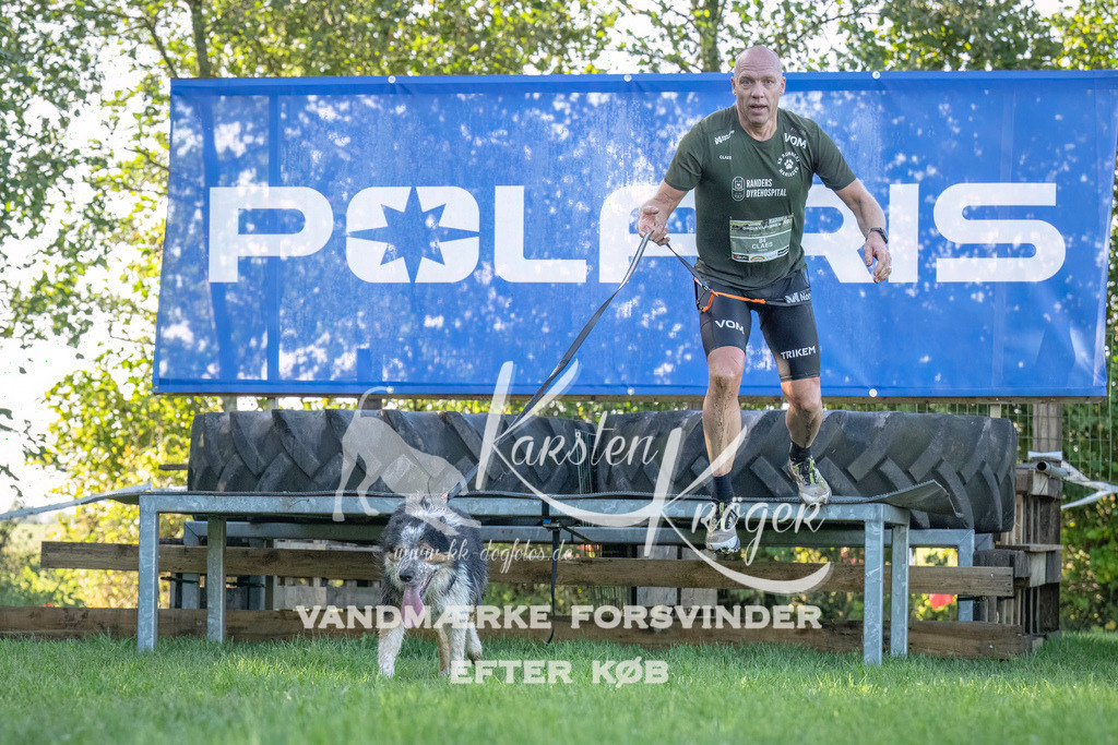 1038--8 | kk-dogfotos