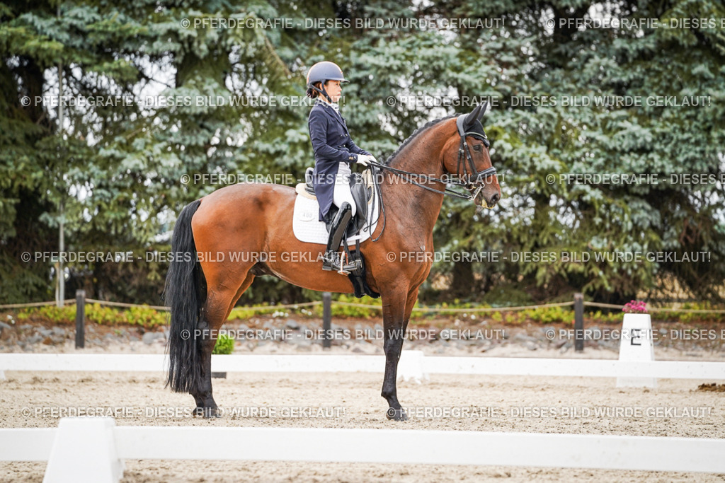 DSC05353 | Pferdegrafie