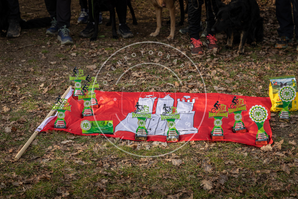 0L8A9319 | Hundefotografie, Tierfotograf, Pfotenfotografie, Fotoshooting Hund, Hunde Portrait, Hundesport, Hundeportraits, Heideshooting, Hunde, Sportfotograf, Hundefotograf, Turnierhundsport, THS,  - Realisiert mit Pictrs.com