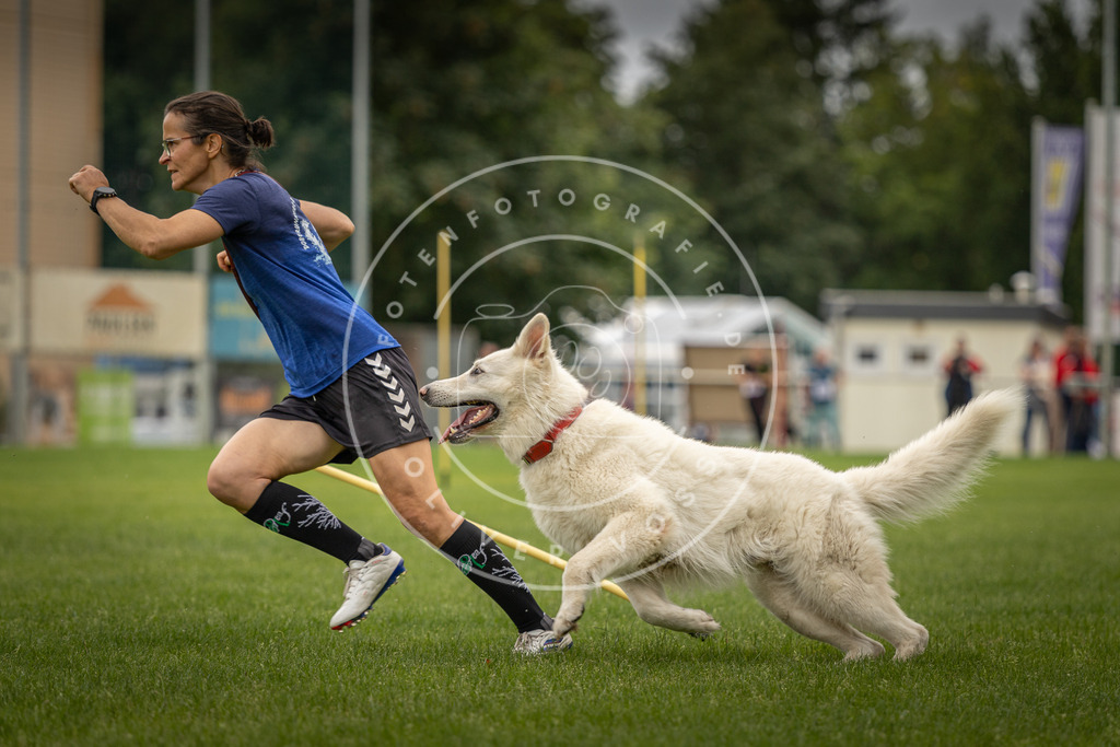 Pfotenfotografie_DV3A7964 | Hundefotografie, Tierfotograf, Pfotenfotografie, Fotoshooting Hund, Hunde Portrait, Hundesport, Hundeportraits, Heideshooting, Hunde, Sportfotograf, Hundefotograf, Turnierhundsport, THS,  - Realisiert mit Pictrs.com