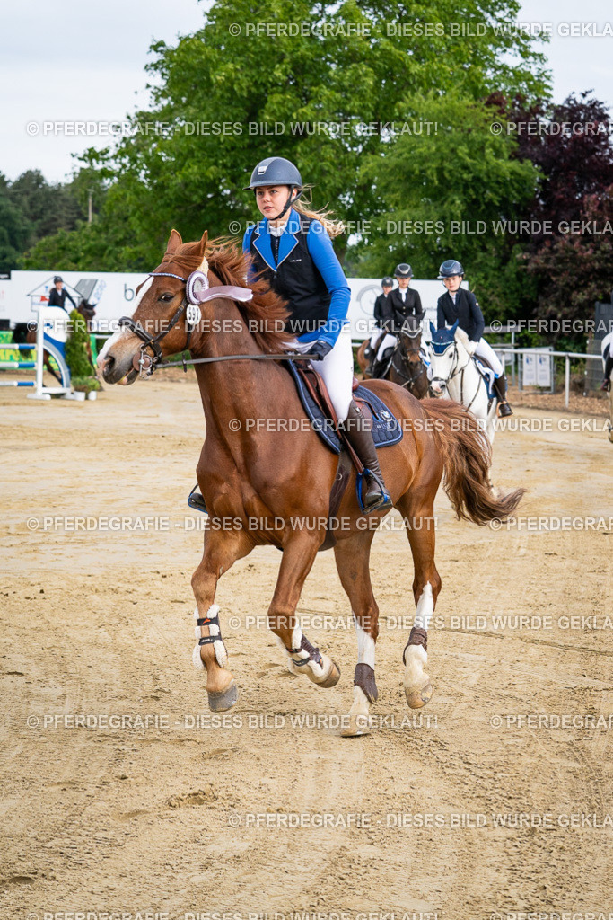 DSC03205 | Pferdegrafie