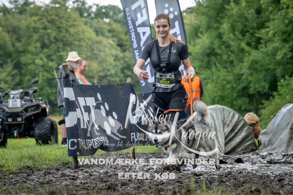 1157_ZZ90481 | kk-dogfotos