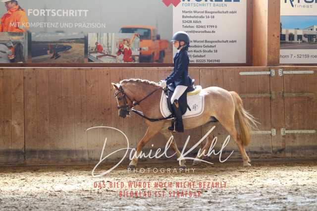 DKP45173 | Turniersportfotografie; Pferdefotografie; Dressurfotografie