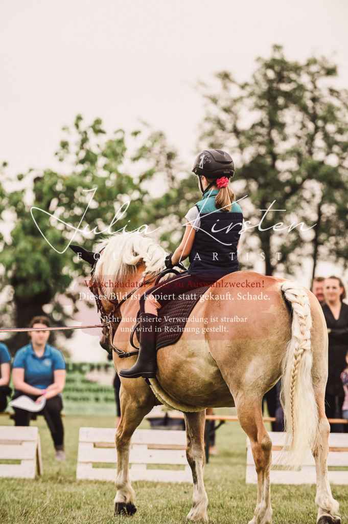 DSC_5291 | Pferde- und Turnierfotografie in Westsachsen. Pferdeportraits, Auftragszeichnungen und intuitive Kunst.