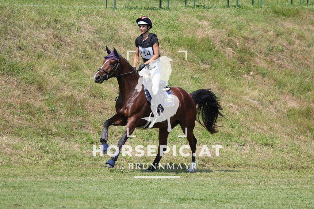 0P6A9087 | Willkommen bei Brunnmayr - Design & Fotografie – Ihrem Spezialisten für Reitturniere und Pferdeveranstaltungen in Oberösterreich, Salzburg und Bayern! Seit über 17 Jahren sind wir leidenschaftlich dabei.