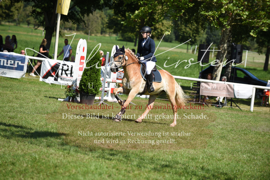 DSC_9507 | Pferde- und Turnierfotografie in Westsachsen. Pferdeportraits, Auftragszeichnungen und intuitive Kunst.