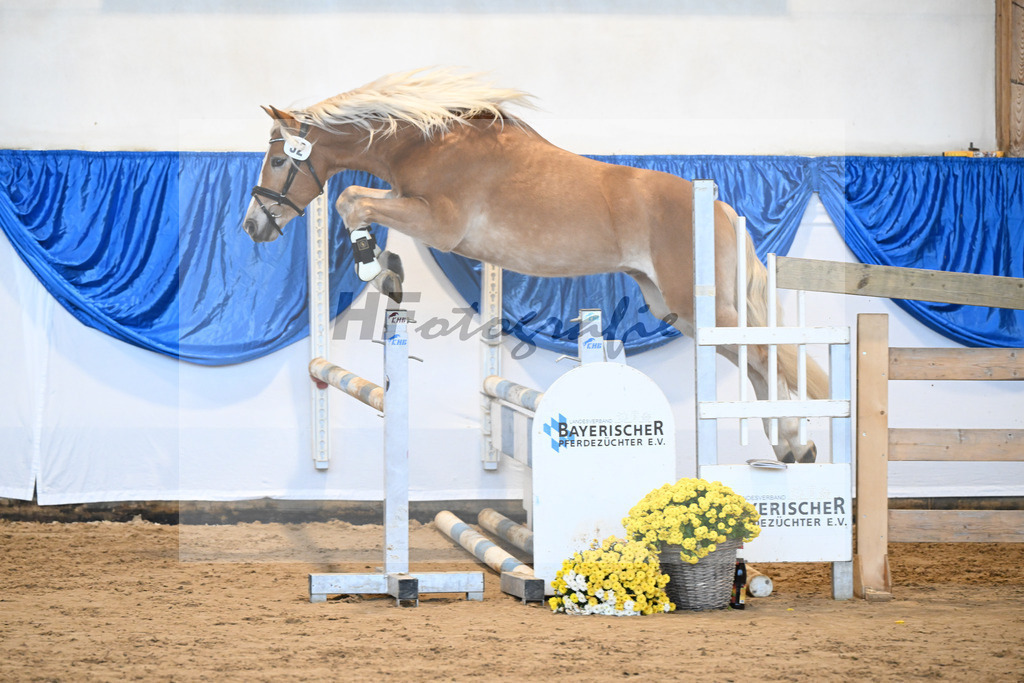 Kat-Nr. 32 Walkman Junior v. Walkman M_Schwarz_48250622 | hf-fotografie - Realisiert mit Pictrs.com