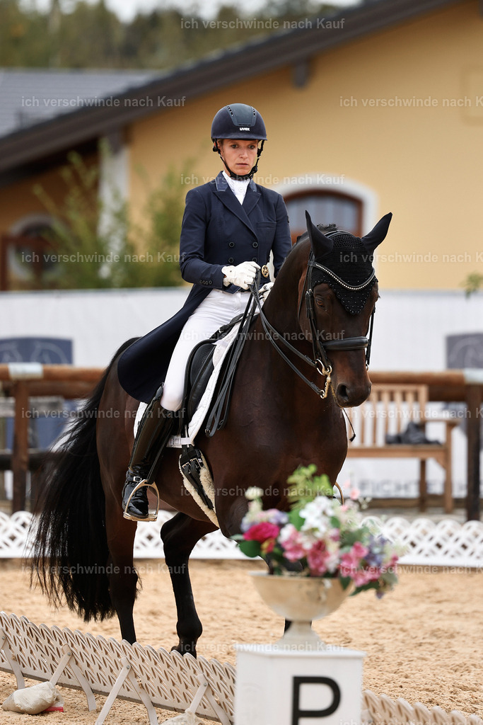 11-123-Dressur S___-StoibPH-1385 | working equitationturnier fotograf videograf stoibphotography marixx film working equitation deutschland reitsport turnierfotografie eventfotografie equestrian events