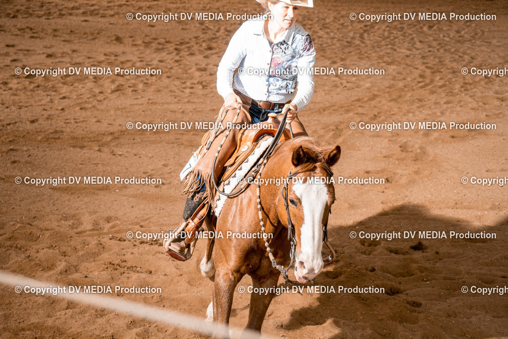 BA400783 | dv-media-shop - Realisiert mit Pictrs.com