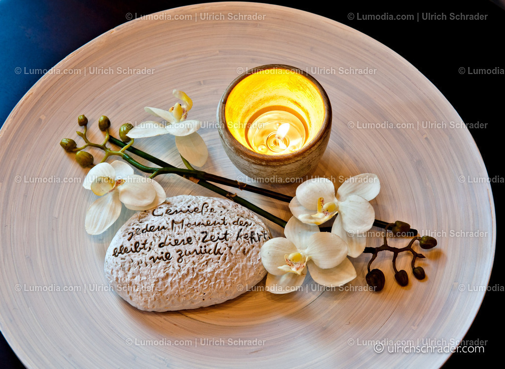 _ulrichschrader.com-121 | Stockfoto und Bilderpool mit Bildmaterial aus Deutschland, dem Harz, Halberstadt, Quedlinburg, Wernigerode und weltweit. Qualitativ hochwertige und professionelle Fotos anschauen und kaufen. - Realisiert mit Pictrs.com