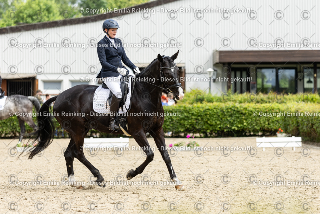 CL5A2243 | Emilia Reinking Fotografie - Realisiert mit Pictrs.com