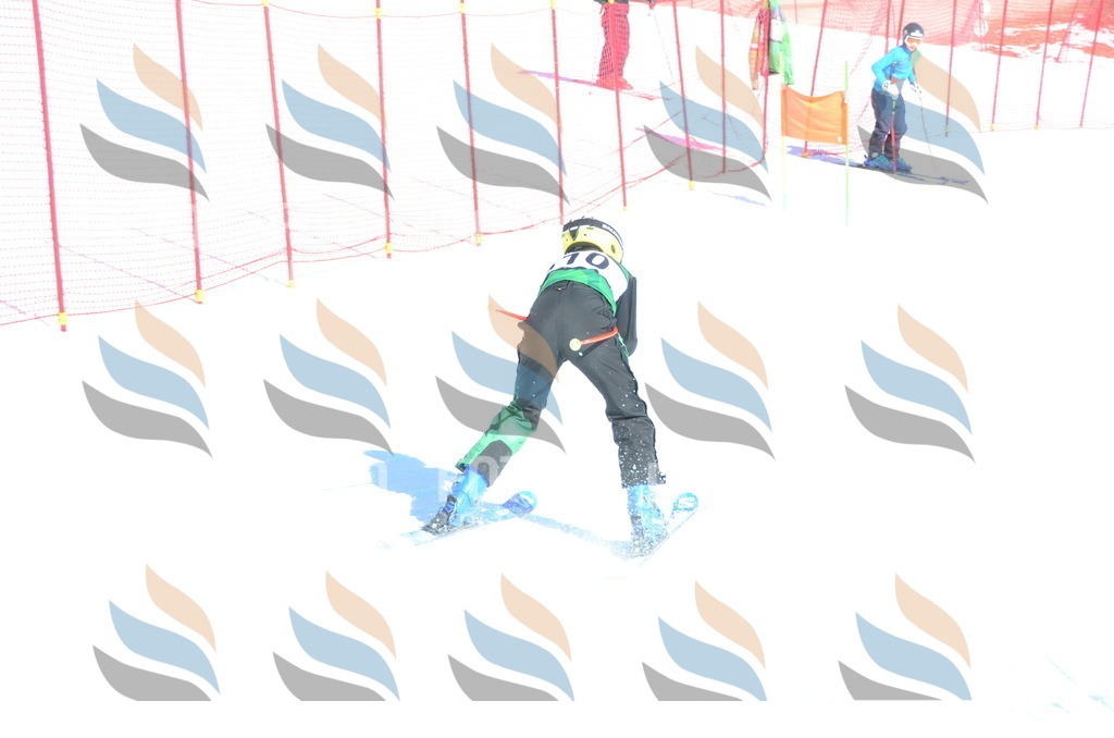 C5820 | holidayphoto