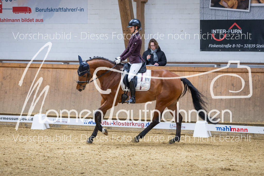 Sth-LPO25-A-Dr-081 | MomenTaufnahmen Pferdesportfotos