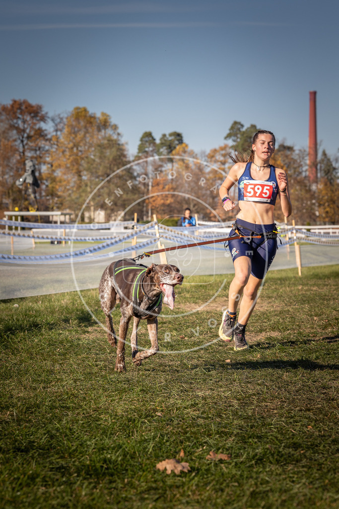 CaniXpix_0L8A8421 | Hundefotografie, Tierfotograf, Pfotenfotografie, Fotoshooting Hund, Hunde Portrait, Hundesport, Hundeportraits, Heideshooting, Hunde, Sportfotograf, Hundefotograf, Turnierhundsport, THS,  - Realisiert mit Pictrs.com