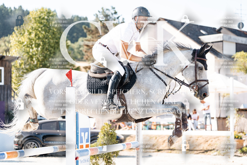 CK904398 | Turnierfotografie Pferdefotografie Trier Rheinland-Pfalz Pferdesport Reitsport Tierfotografie Sportfotografie Pferdevideo Pferdevideografie Equestrianvideography equestrianphotography  - Realisiert mit Pictrs.com