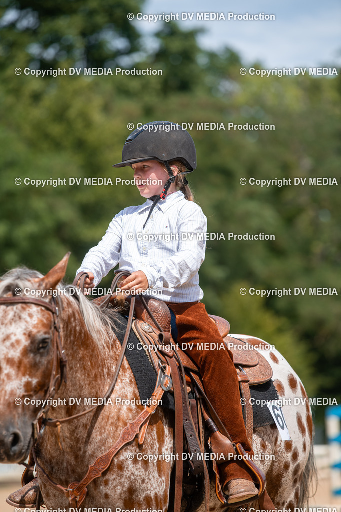 ZS2_8209 | dv-media-shop - Realisiert mit Pictrs.com