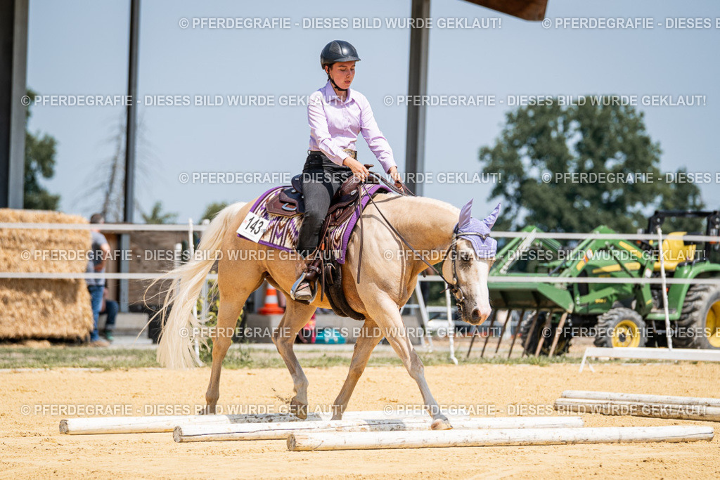 DSC01182 | Pferdegrafie