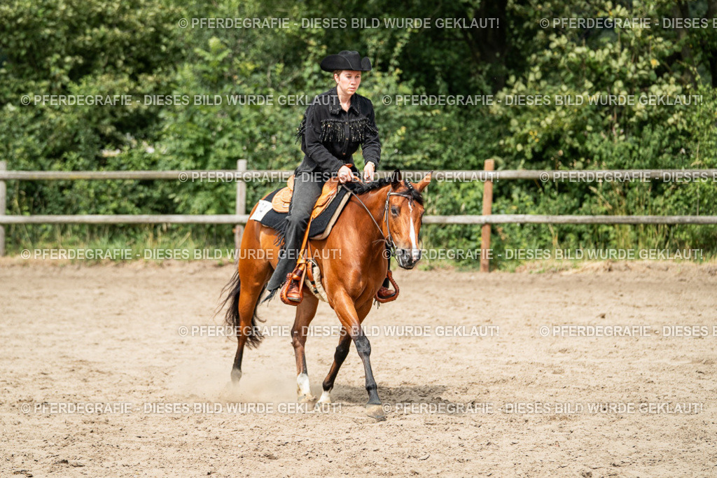 DSC02278 | Pferdegrafie