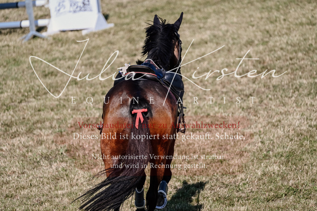 DSC_2011 | Pferde- und Turnierfotografie in Westsachsen. Pferdeportraits, Auftragszeichnungen und intuitive Kunst.