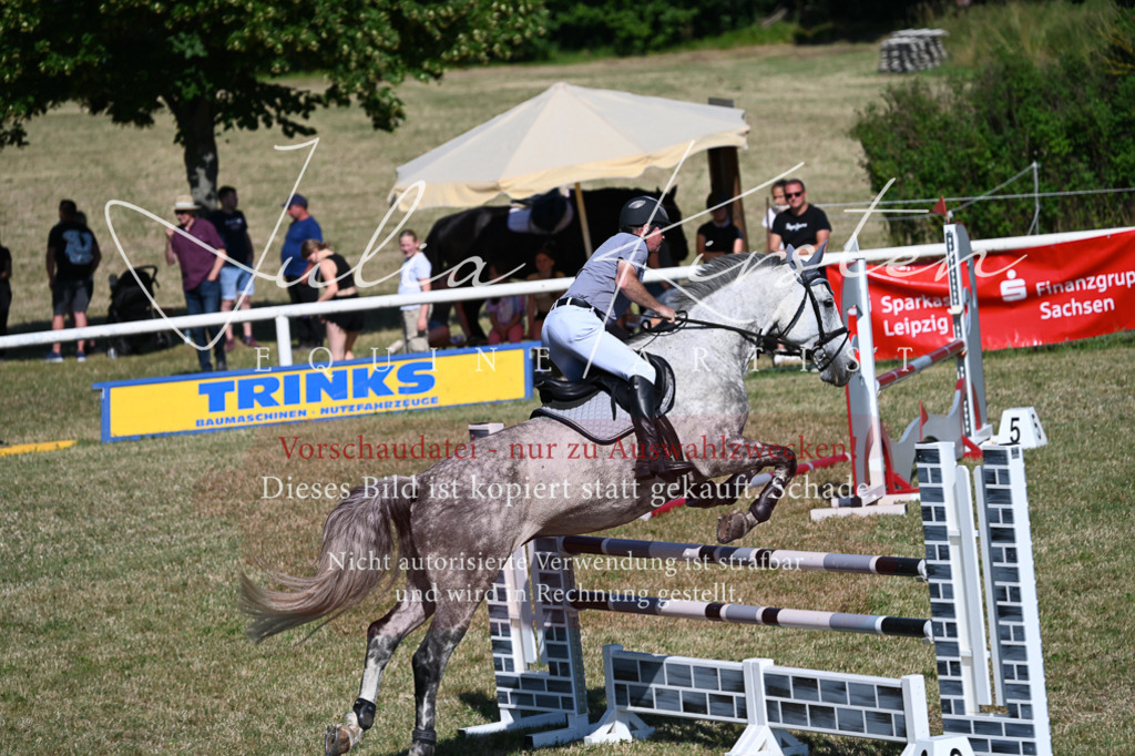 DSC_1972 | Pferde- und Turnierfotografie in Westsachsen. Pferdeportraits, Auftragszeichnungen und intuitive Kunst.